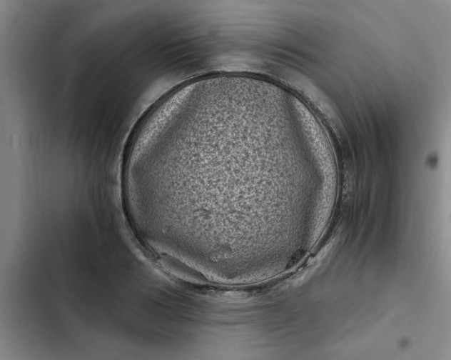 X0000102480986200808221703