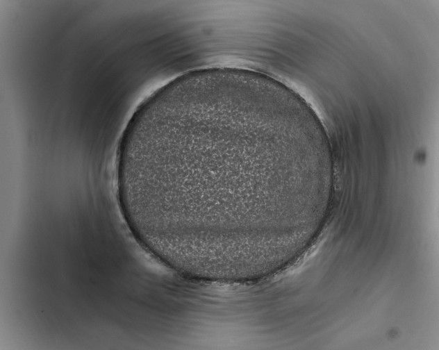 X0000102480987200808221703