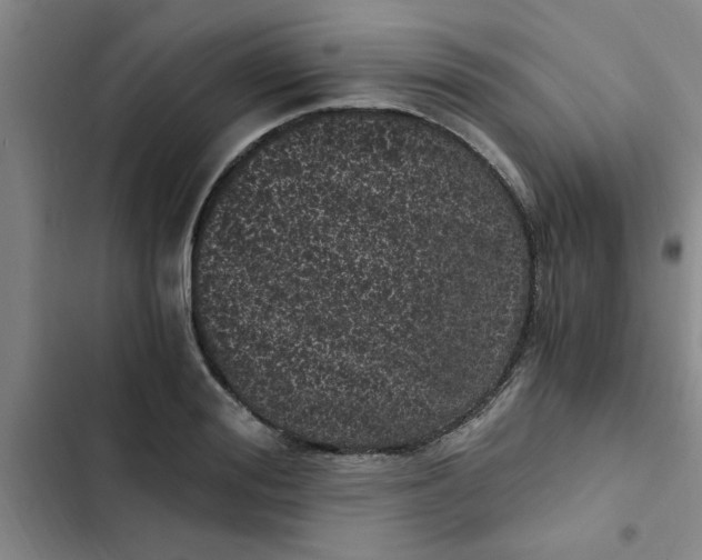 X0000102480988200808221703