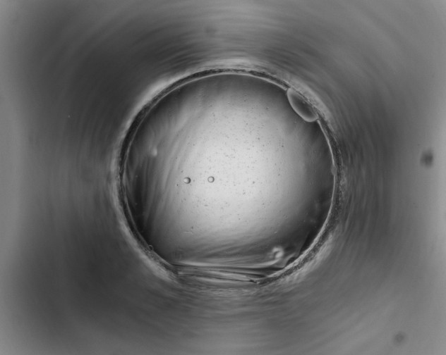 X0000102480989200808221703