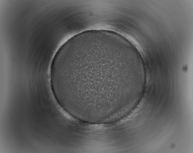 X0000102480990200808221703