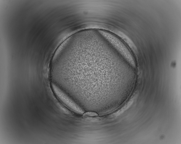 X0000102480993200808221703