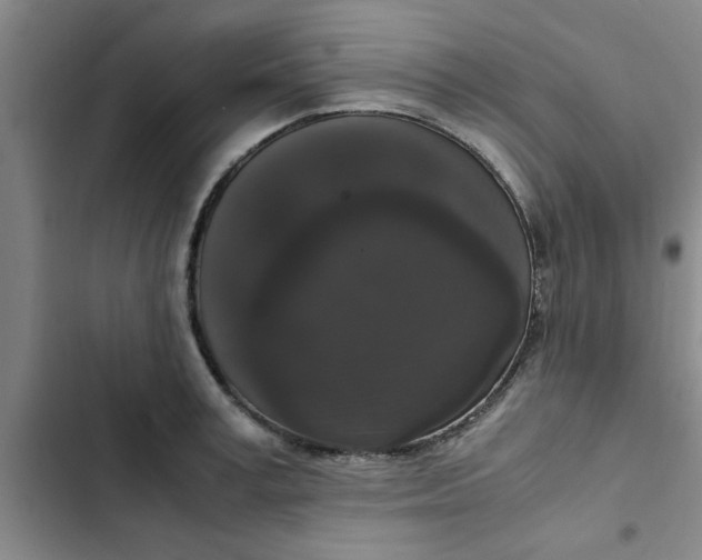 X0000102480995200808221703