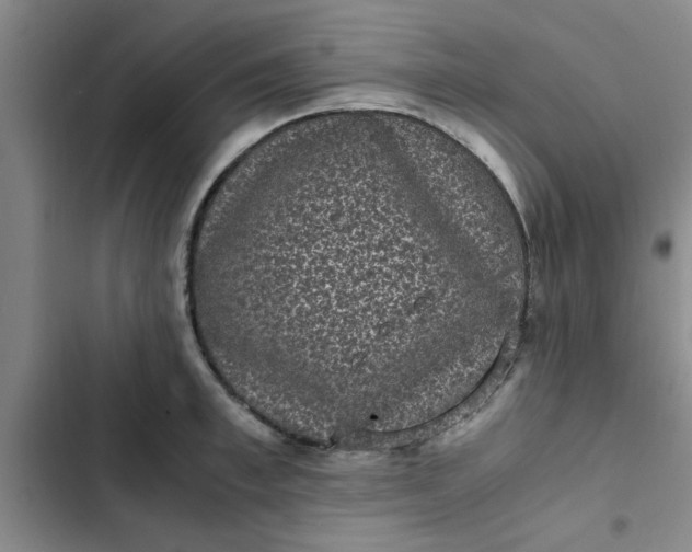 X0000102480997200808221703