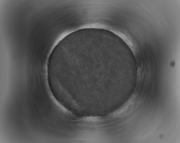 X0000102480998200808221703