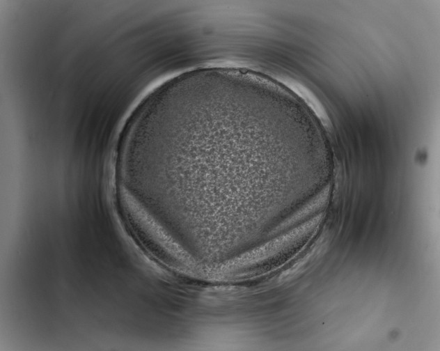 X0000102481000200808221703