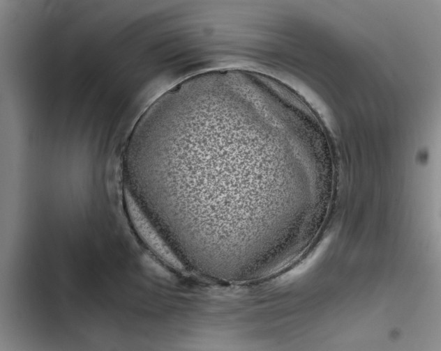 X0000102481001200808221703