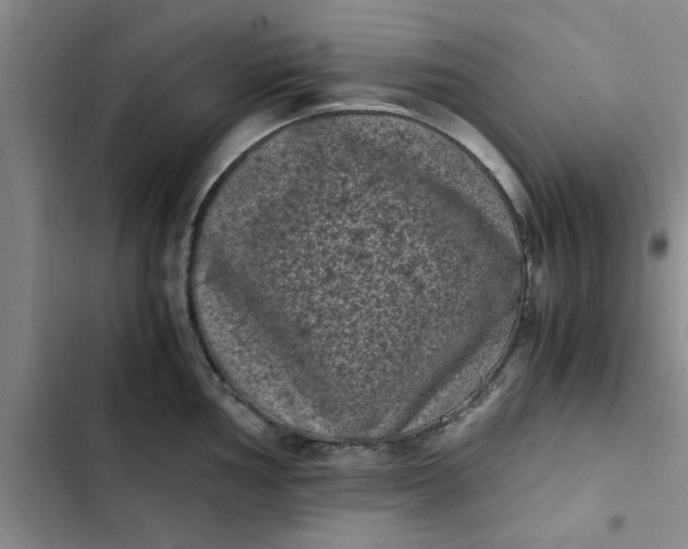 X0000102481002200808221703