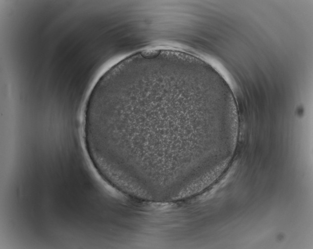 X0000102481003200808221703