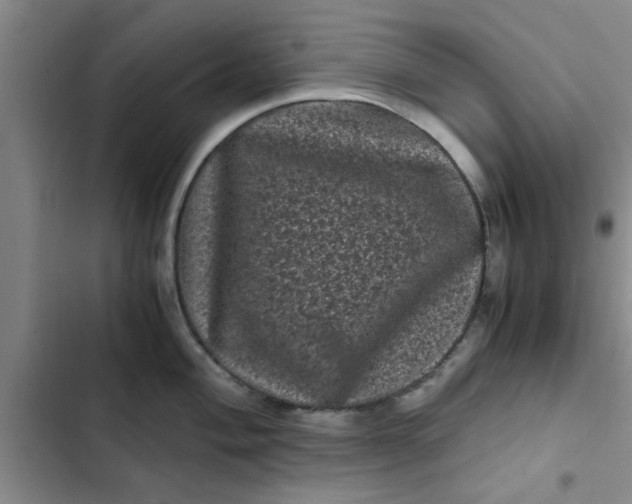 X0000102481004200808221703