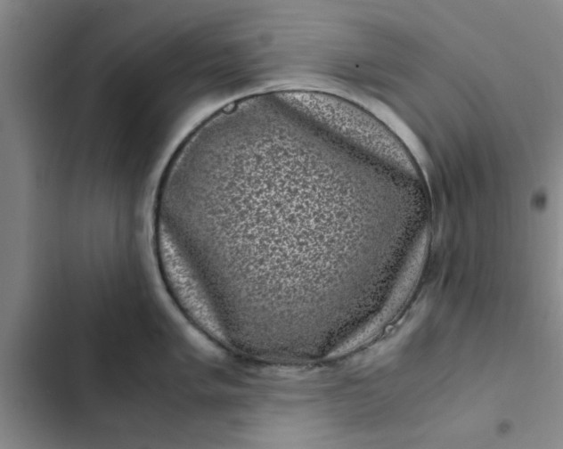 X0000102481005200808221703