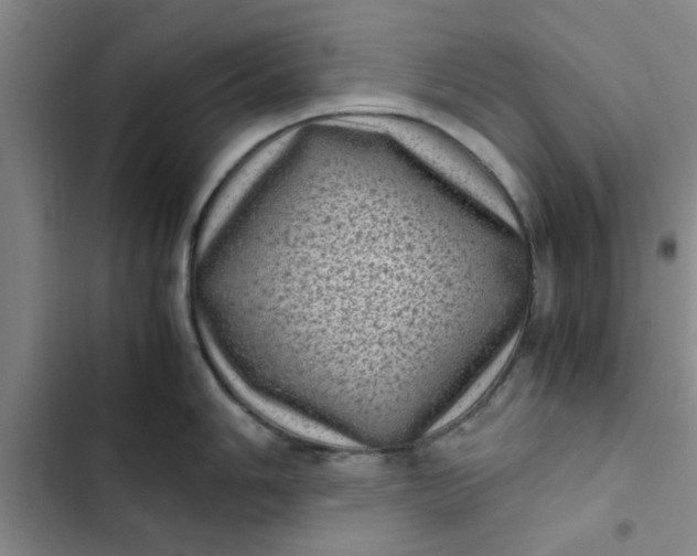 X0000102481006200808221703