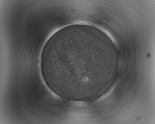 X0000102481007200808221703