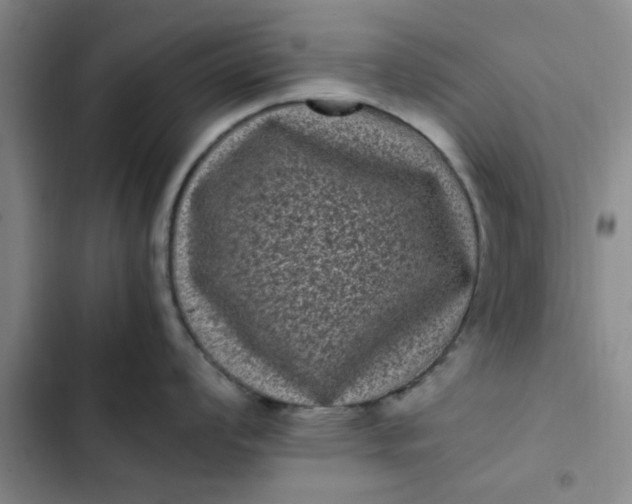 X0000102481008200808221703