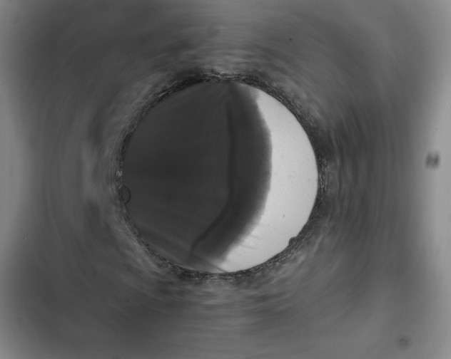 X0000102481009200808221702