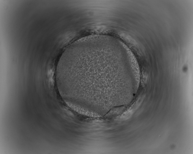 X0000102481010200808221702