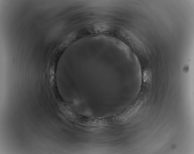 X0000102481011200808221702