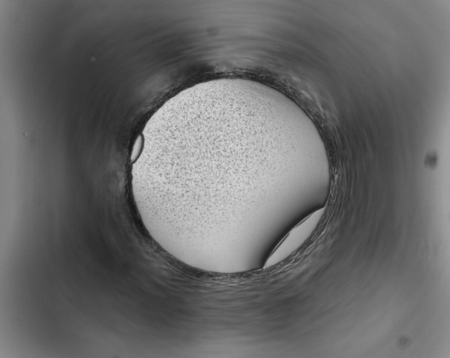 X0000102481012200808221702