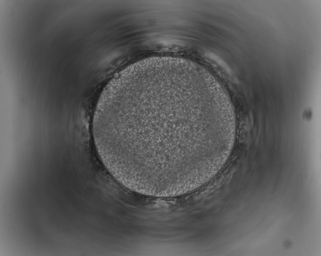 X0000102481013200808221702