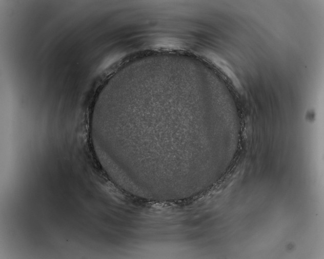 X0000102481015200808221702