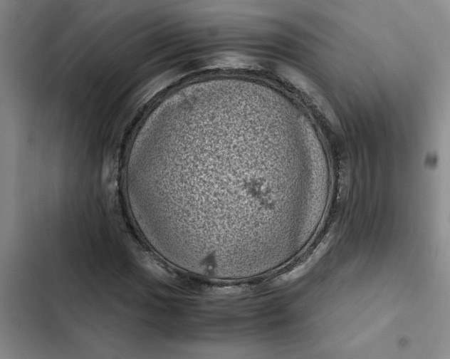 X0000102481017200808221702