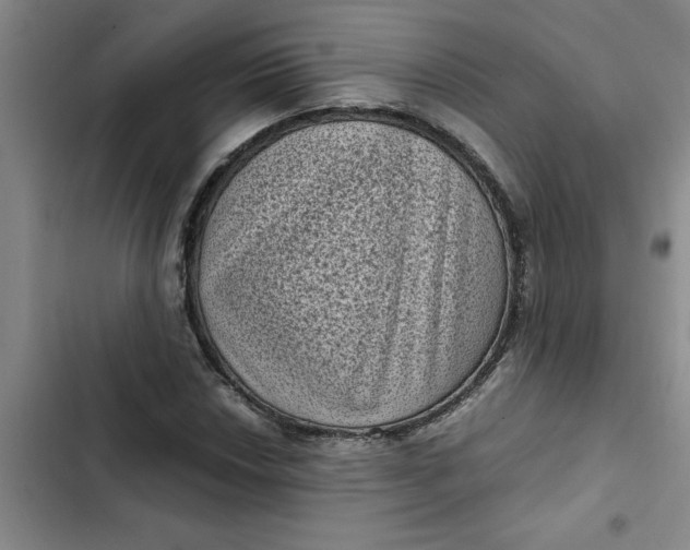 X0000102481018200808221702