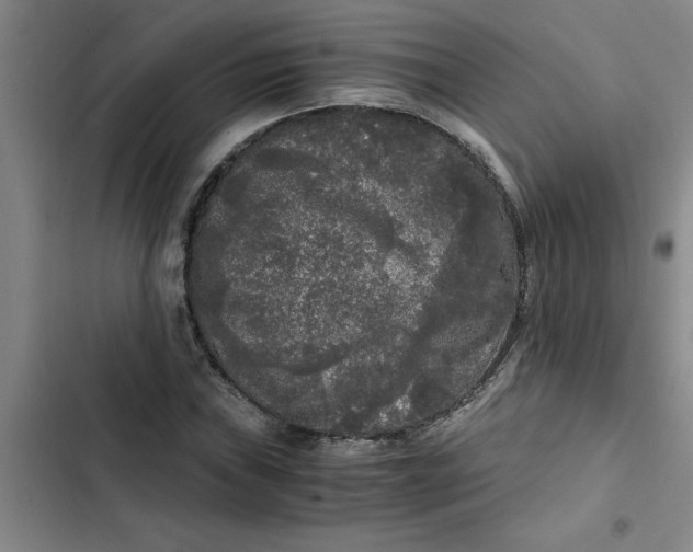 X0000102481019200808221702