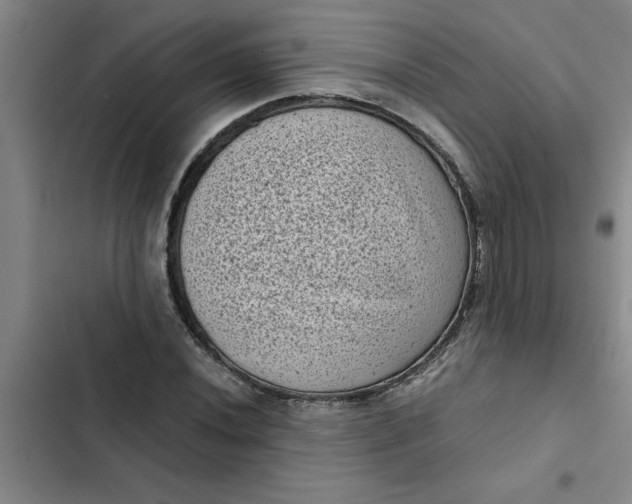 X0000102481020200808221702