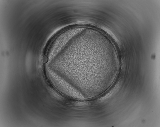 X0000102481021200808221702