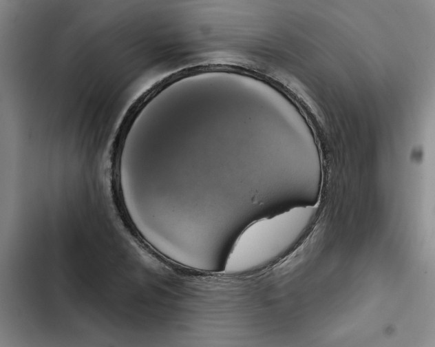 X0000102481024200808221702