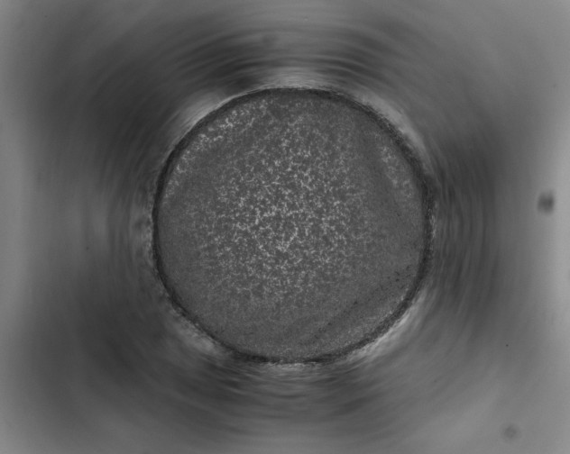 X0000102481025200808221702