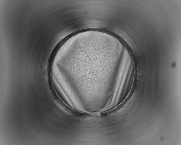 X0000102481026200808221702