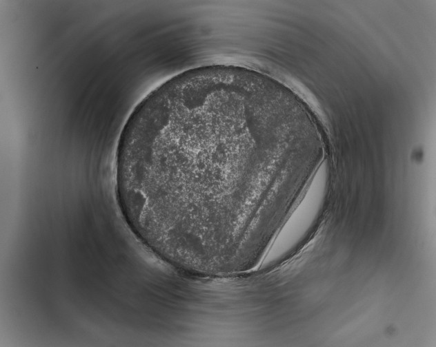 X0000102481028200808221702