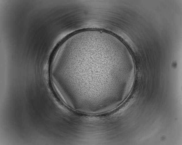 X0000102481030200808221702