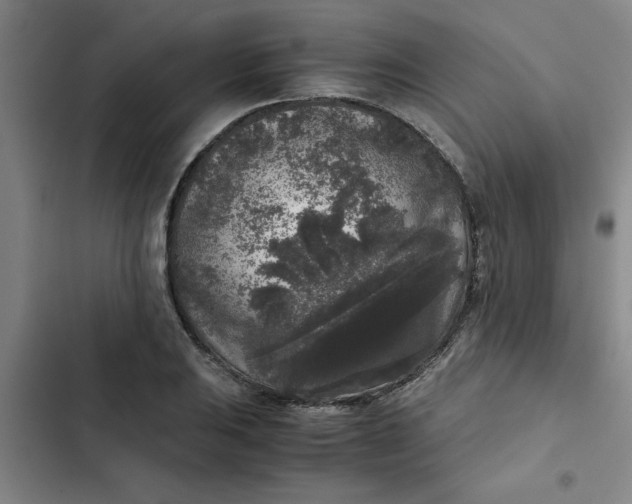 X0000102481031200808221702