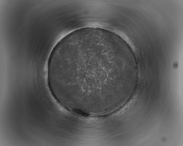 X0000102481032200808221702