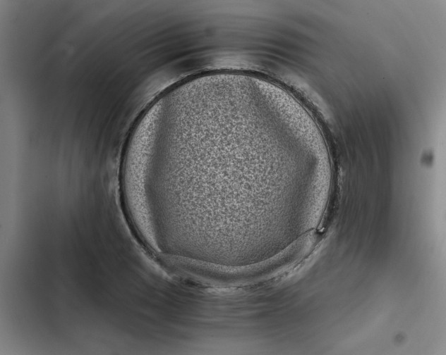 X0000102481033200808221702