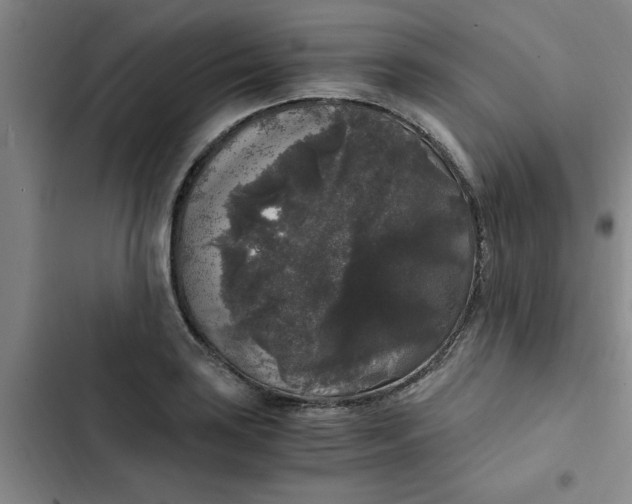 X0000102481035200808221702