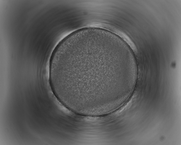 X0000102481036200808221702