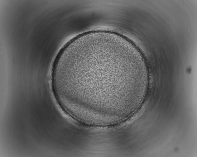 X0000102481038200808221702