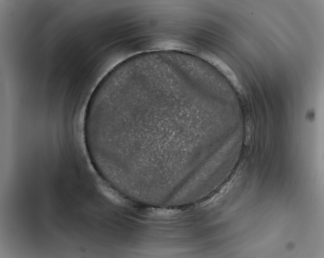 X0000102481039200808221702