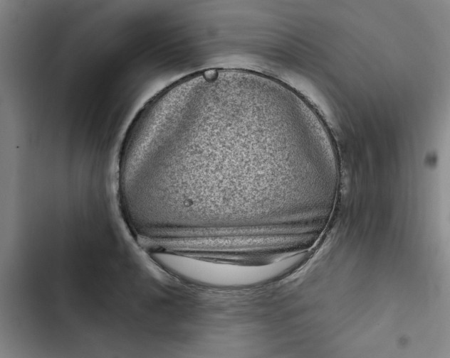 X0000102481040200808221702