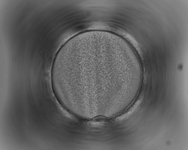 X0000102481041200808221702