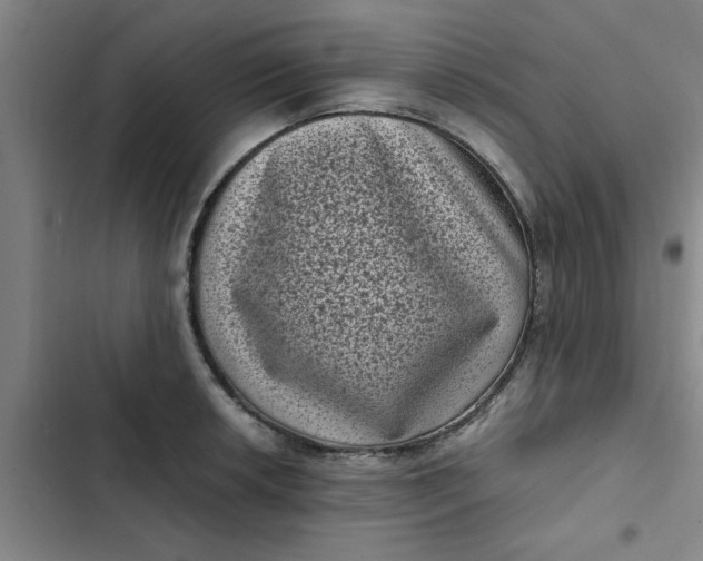 X0000102481042200808221702