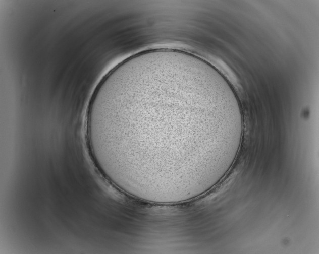 X0000102481044200808221702