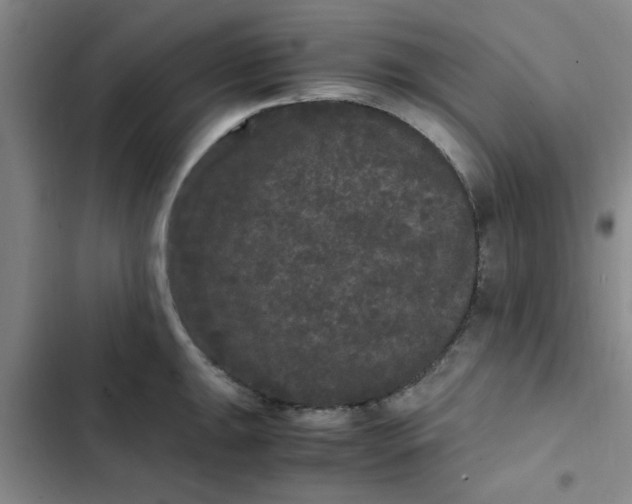 X0000102481047200808221702