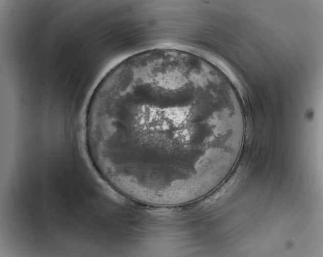 X0000102481048200808221702