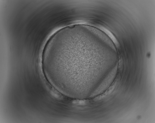 X0000102481051200808221702