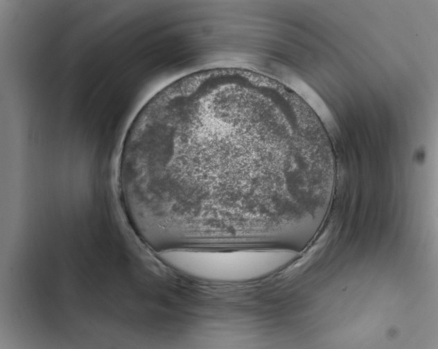 X0000102481052200808221702