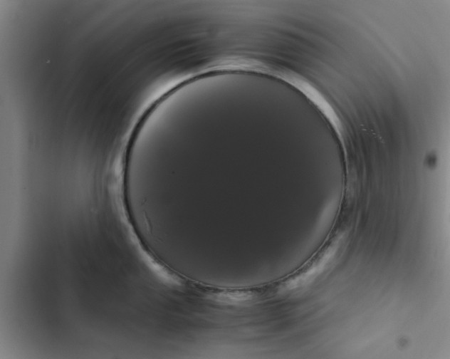 X0000102481053200808221702